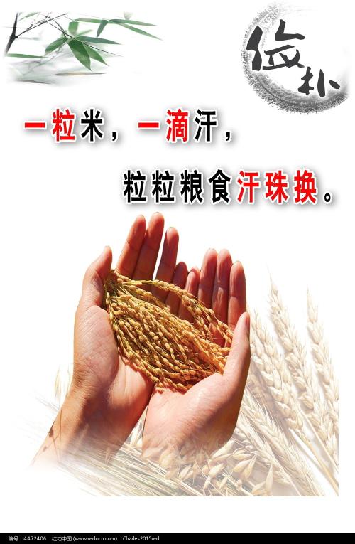 卡洛大学学位证电子图